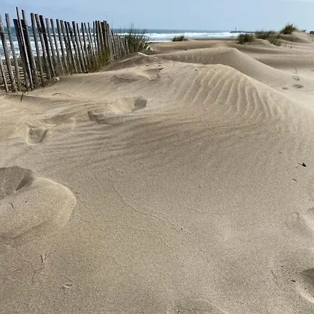 דירה Cap D'agde Suit'appart T1 Pinede 26 M2 Balcon 10 M2 *